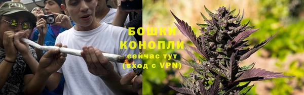 трава Алексин
