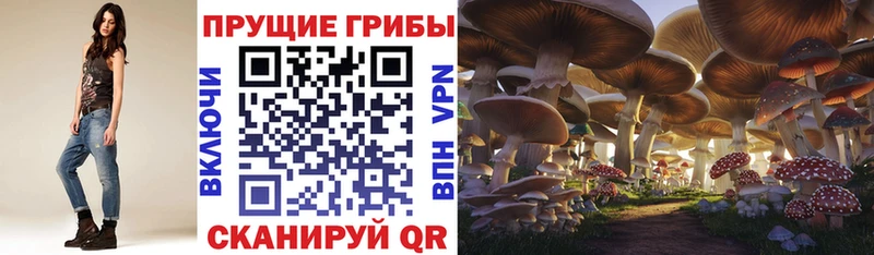 Галлюциногенные грибы Magic Shrooms  где можно купить наркотик  Райчихинск 
